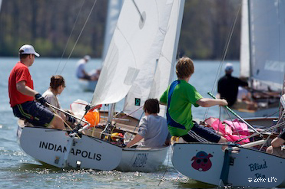 sailing thistle on geist