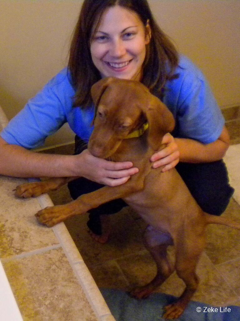 puppy zeke before bath