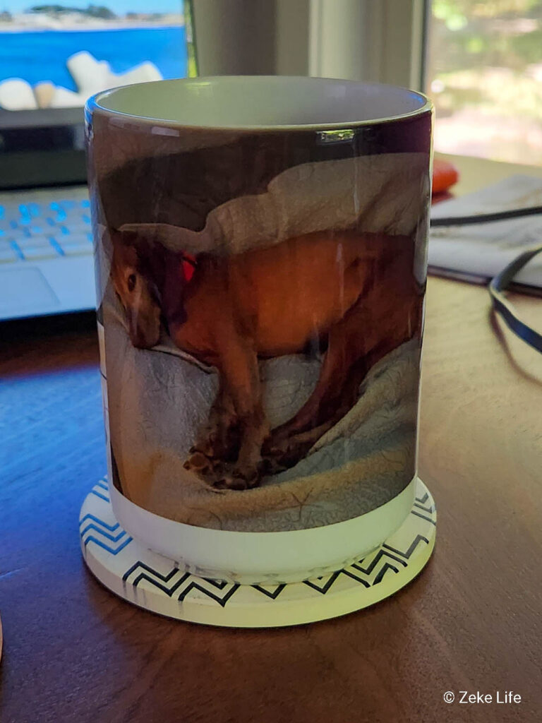 Zeke mug