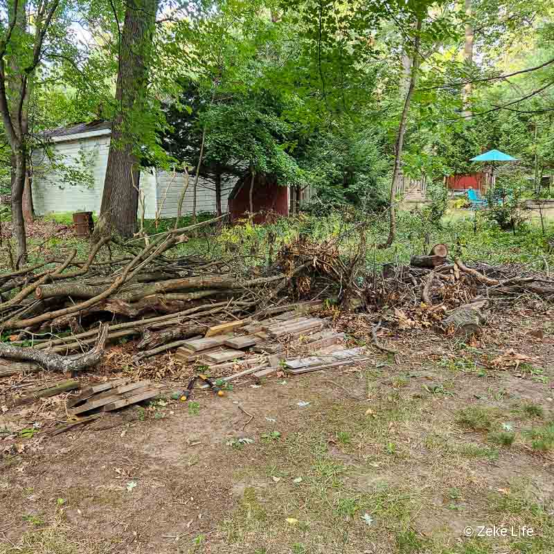 backyard brush pile